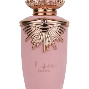 Spray Haya 100 Ml 31LA2149