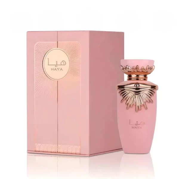 Spray Haya 100 Ml 31LA2149