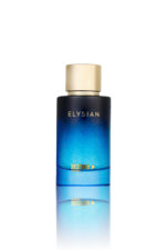 ديستينو أور فيرشن– إيليزيان