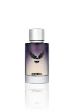 ديستينو أور فيرشن – إنفنسِبِل