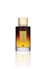 ديستينو أور فيرشن – عود ستيلار