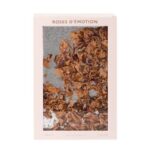 French Avenue-Roses D'Emotion Edp 100ml(NP351) - Image 3